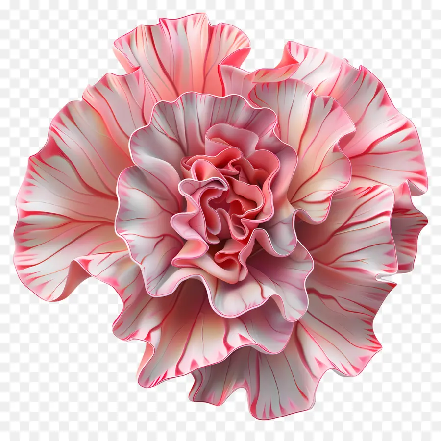 Fleur 3d，Oeillet Rose PNG