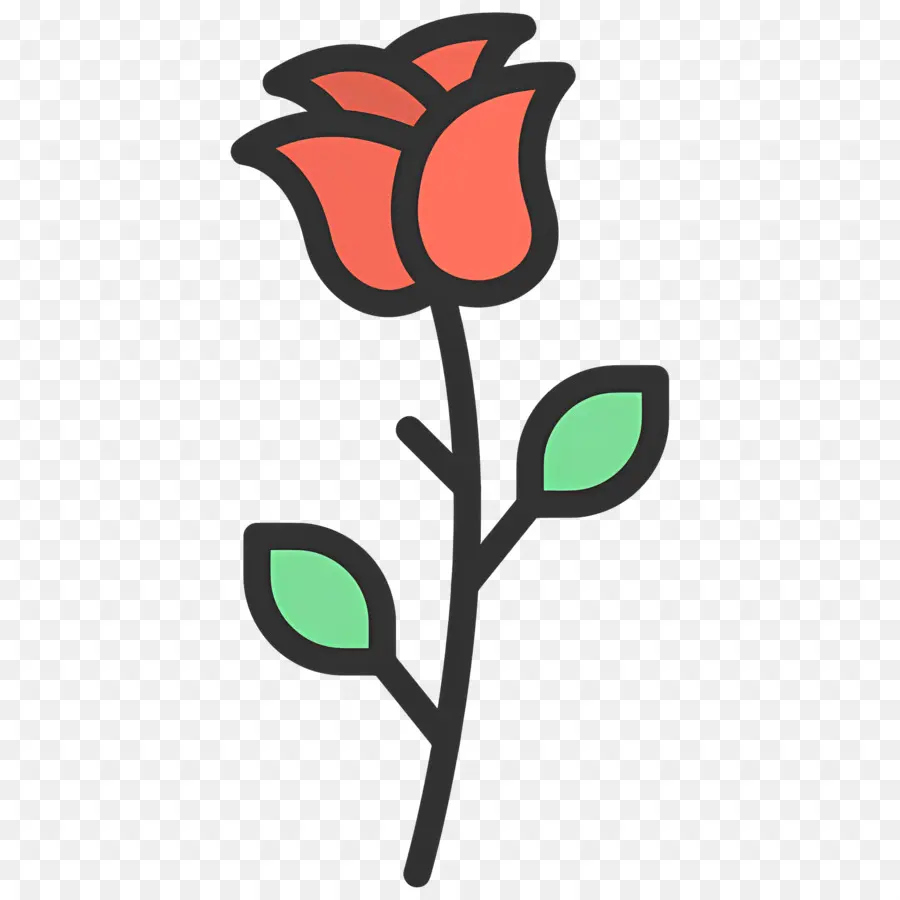 Fleur Rose，Rose Rose PNG