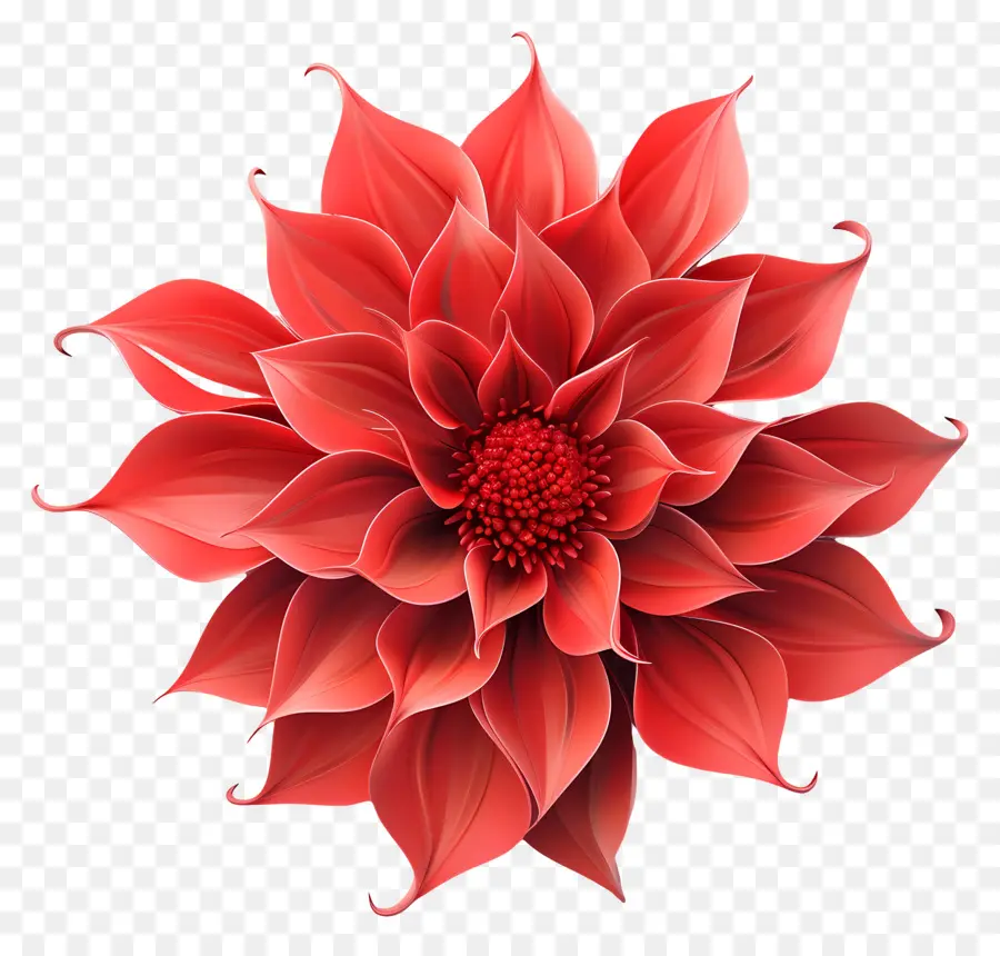 Fleur 3d，Fleur Rouge PNG