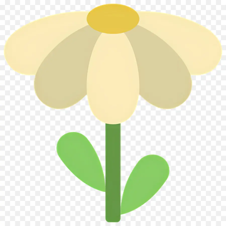 Fleur De Marguerite，Marguerite PNG