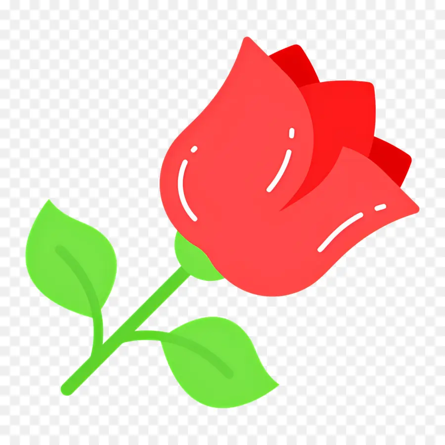 Fleur Rose，Rose Rose PNG