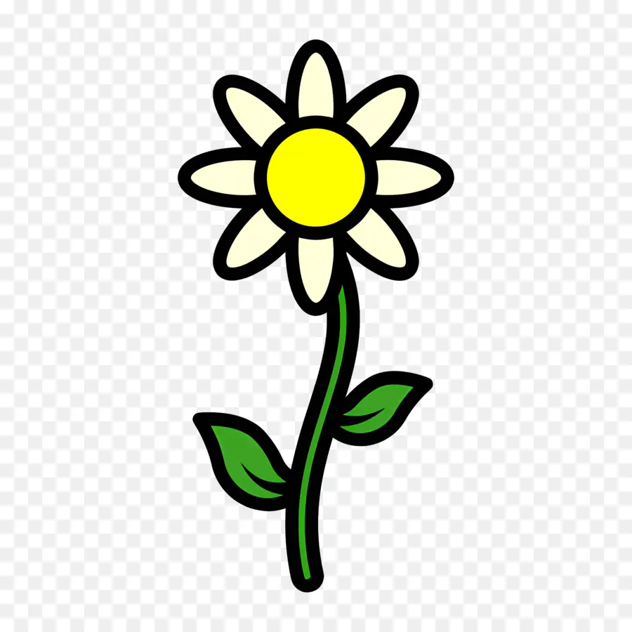 Fleur De Marguerite，Fleur Blanche PNG