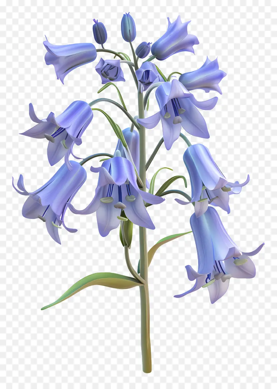 Fleur 3d，Fleur Violette PNG