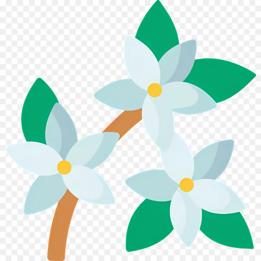 Fleur De Jasmin，Fleurs Blanches PNG