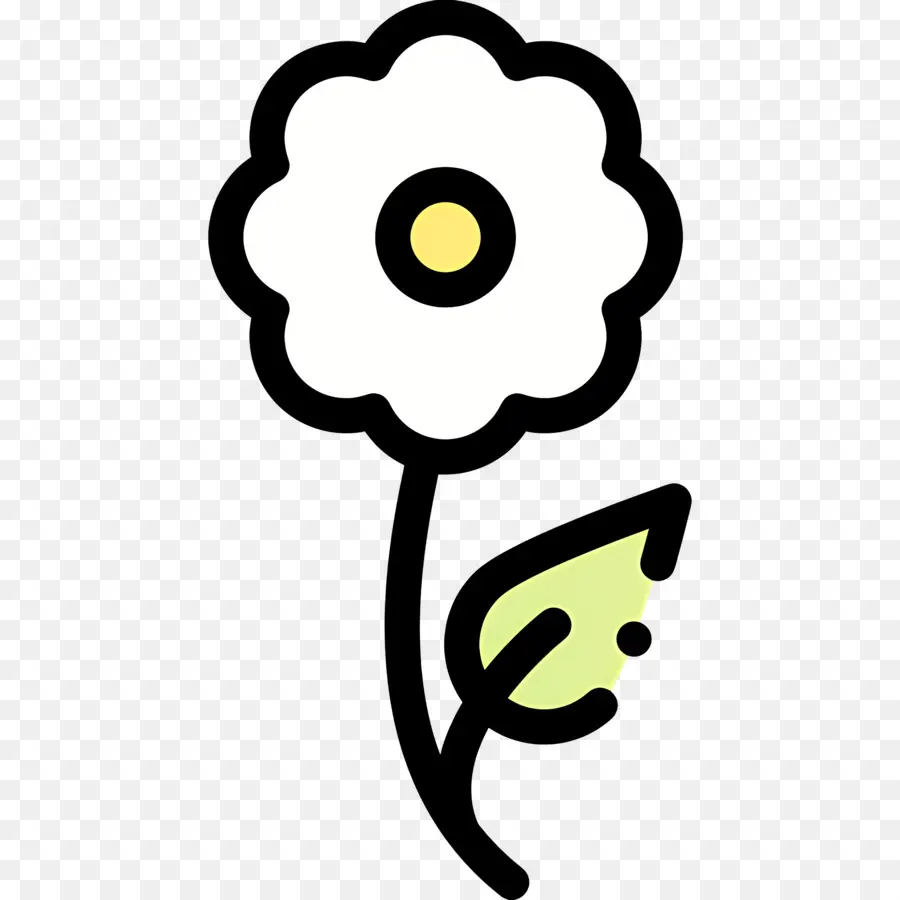 Fleur De Marguerite，Fleur Blanche PNG