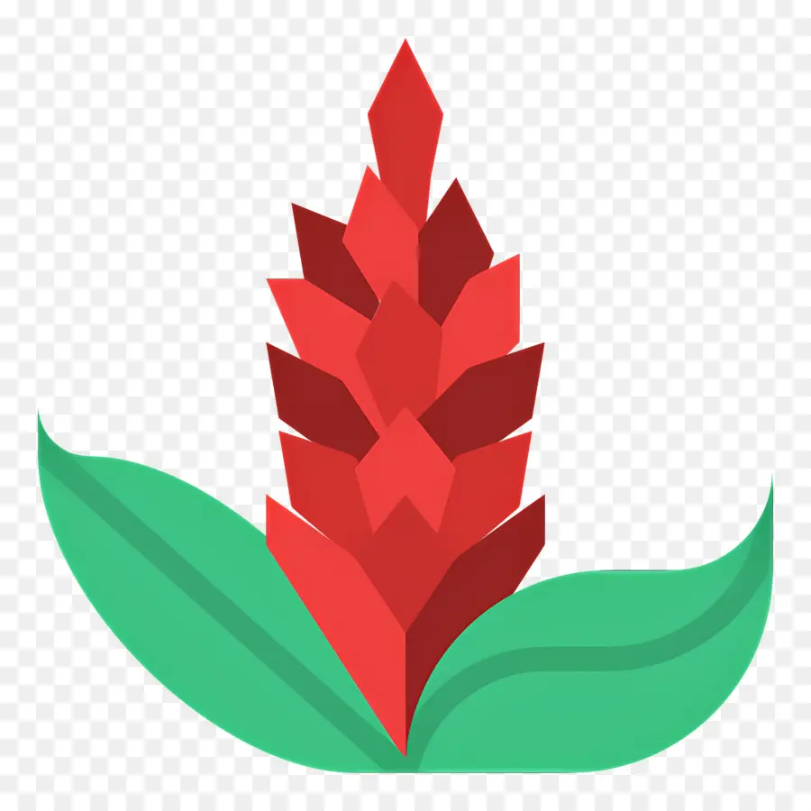 Fleur Tropicale，Fleur Rouge PNG