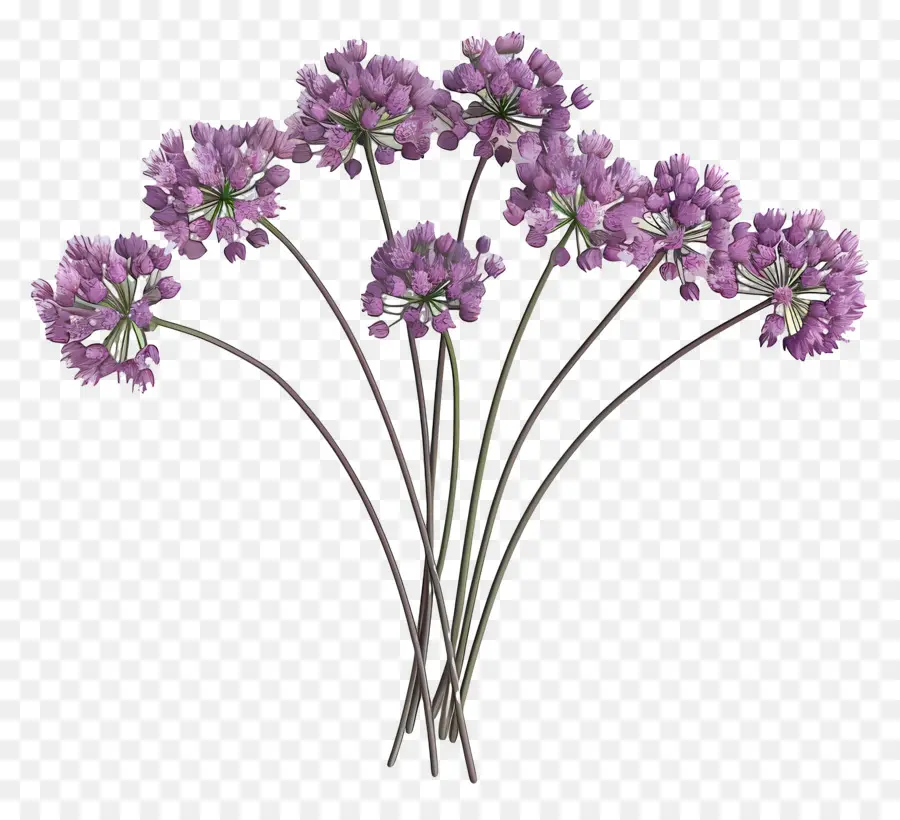 Fleur D'allium Modèle 3d，Fleurs Violettes PNG