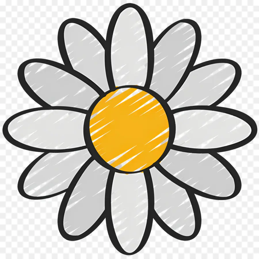 Fleur De Marguerite，Marguerite PNG