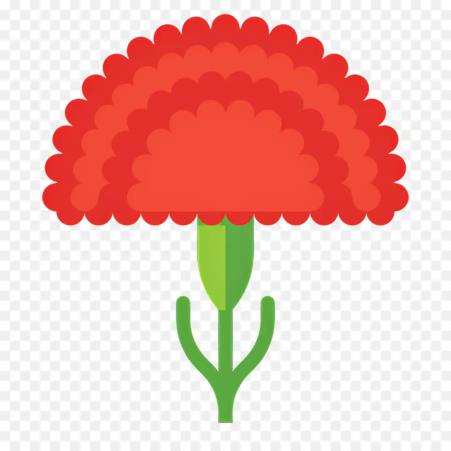 Fleur Rouge，Oeillet Rouge PNG