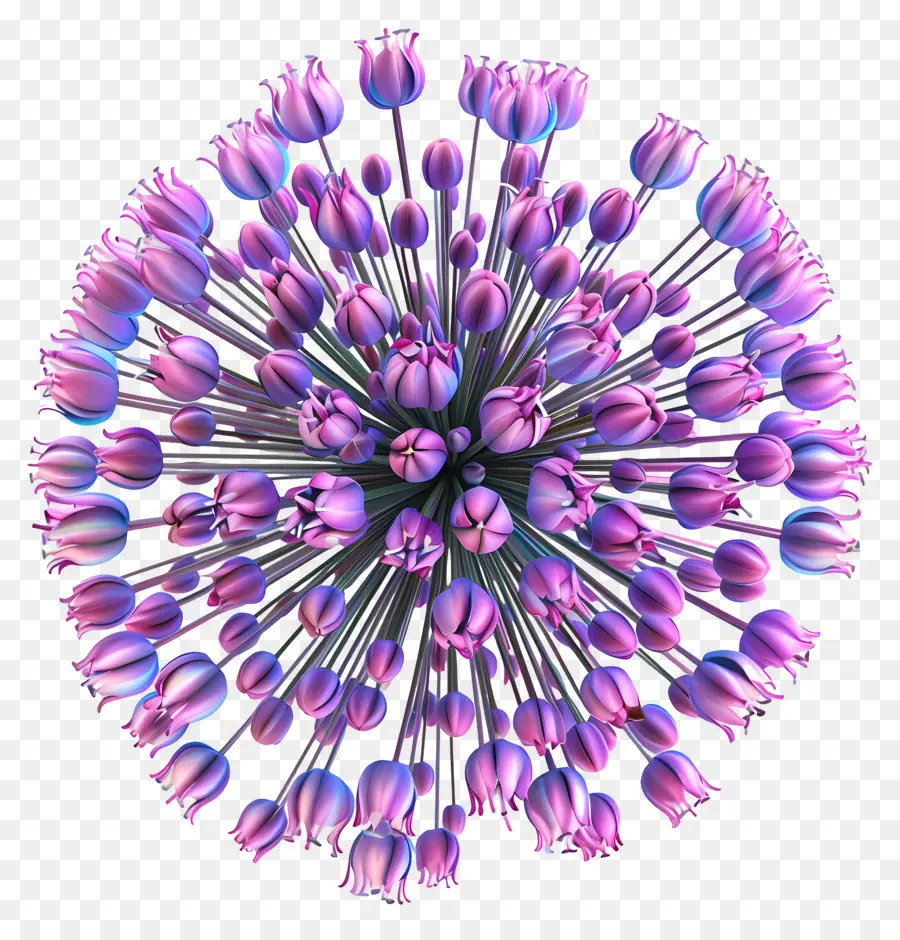 Fleur D'allium Modèle 3d，Fleur Violette PNG