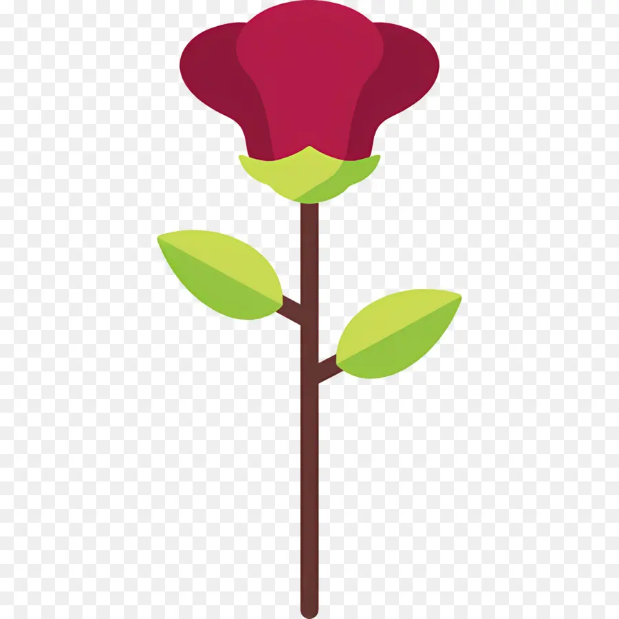 Fleur Rose，Tige De Rose PNG