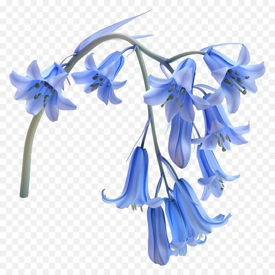 Fleur 3d，Fleurs Bleues PNG