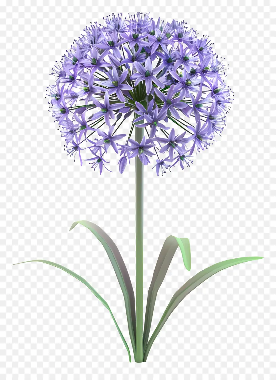 Fleur D'allium Modèle 3d，Fleur Violette Unique PNG