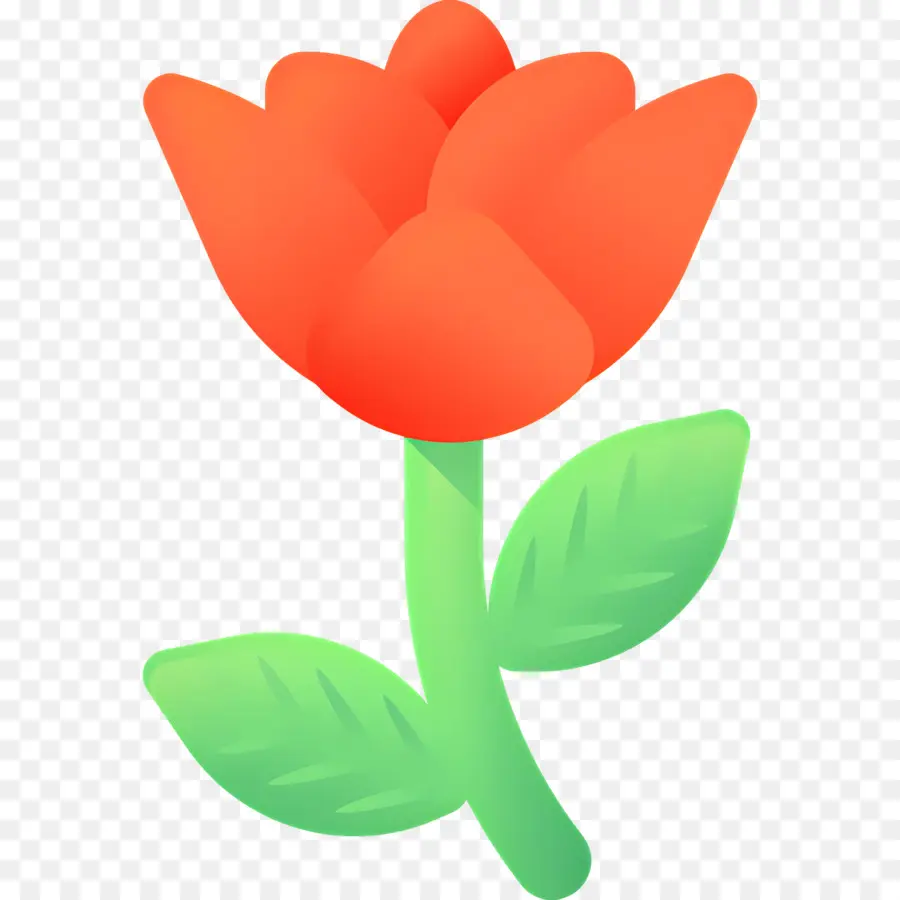 Fleur Rose，Tulipe Rouge PNG