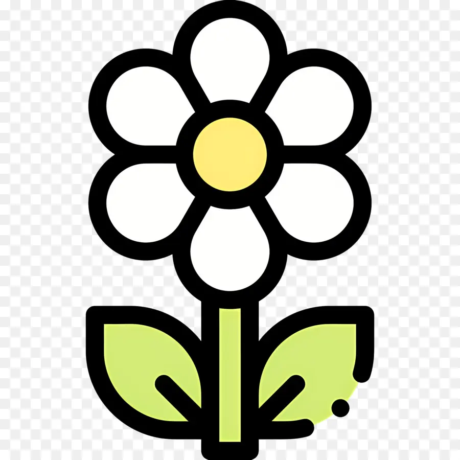 Fleur De Marguerite，Fleur Jaune PNG