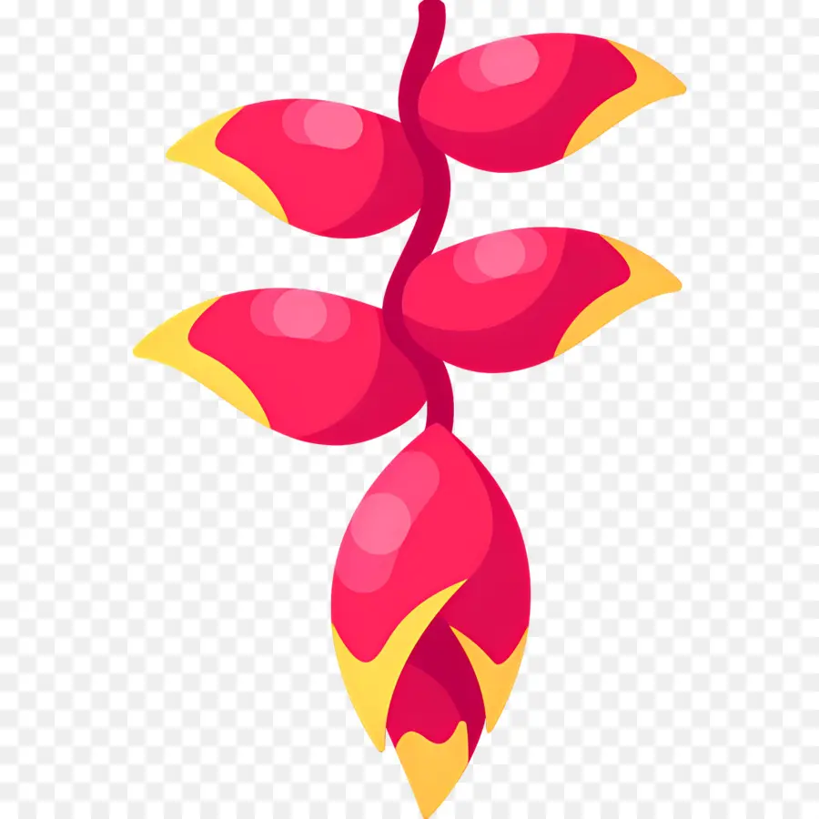 Fleur Tropicale，Fleur Suspendue PNG