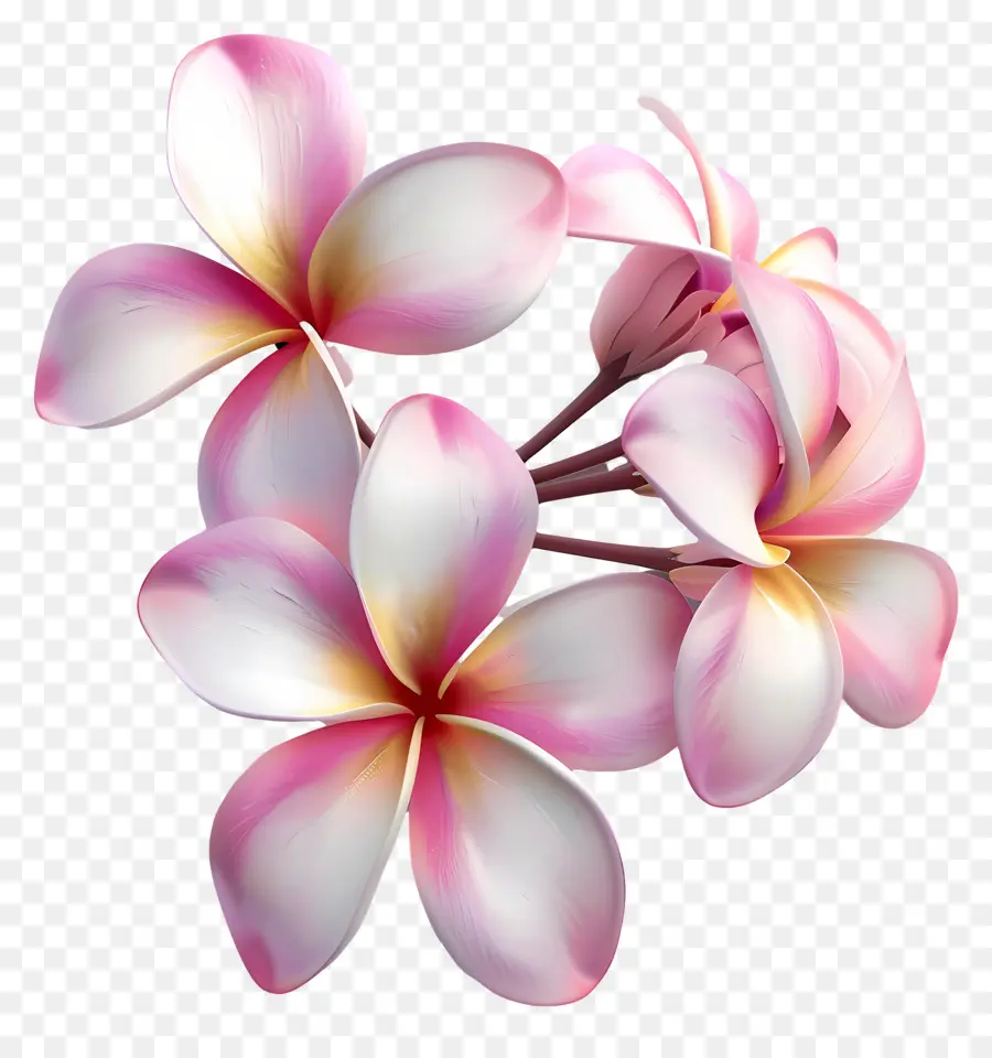 Fleur 3d，Fleurs Roses PNG