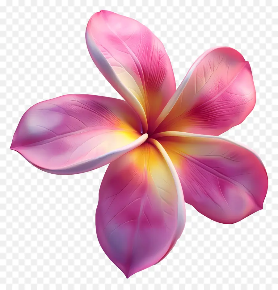 Fleur 3d，Fleur Colorée PNG