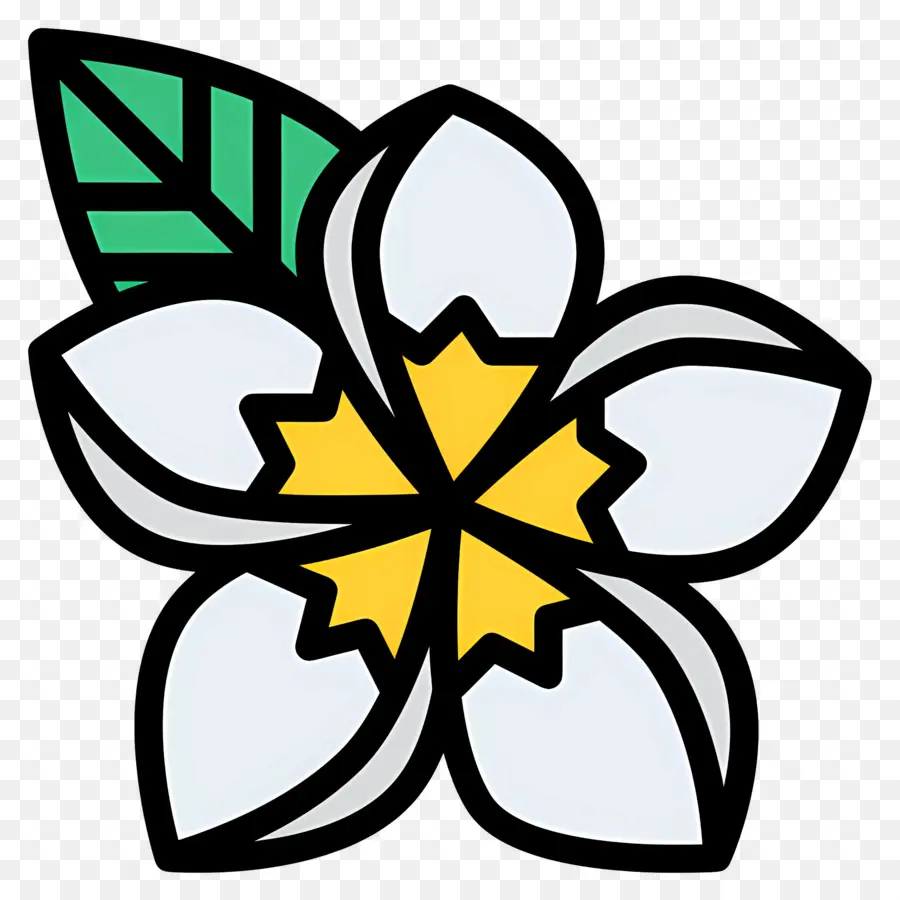 Fleur Tropicale，Fleur Blanche PNG