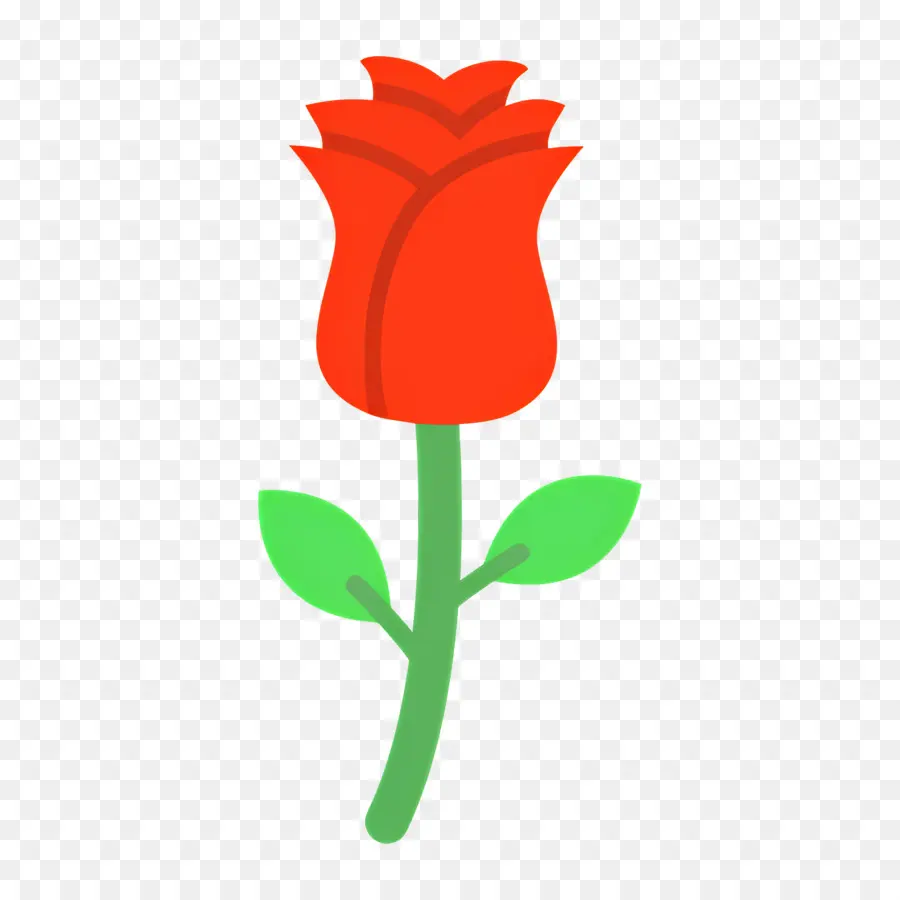 Fleur Rose，Rose Rose PNG