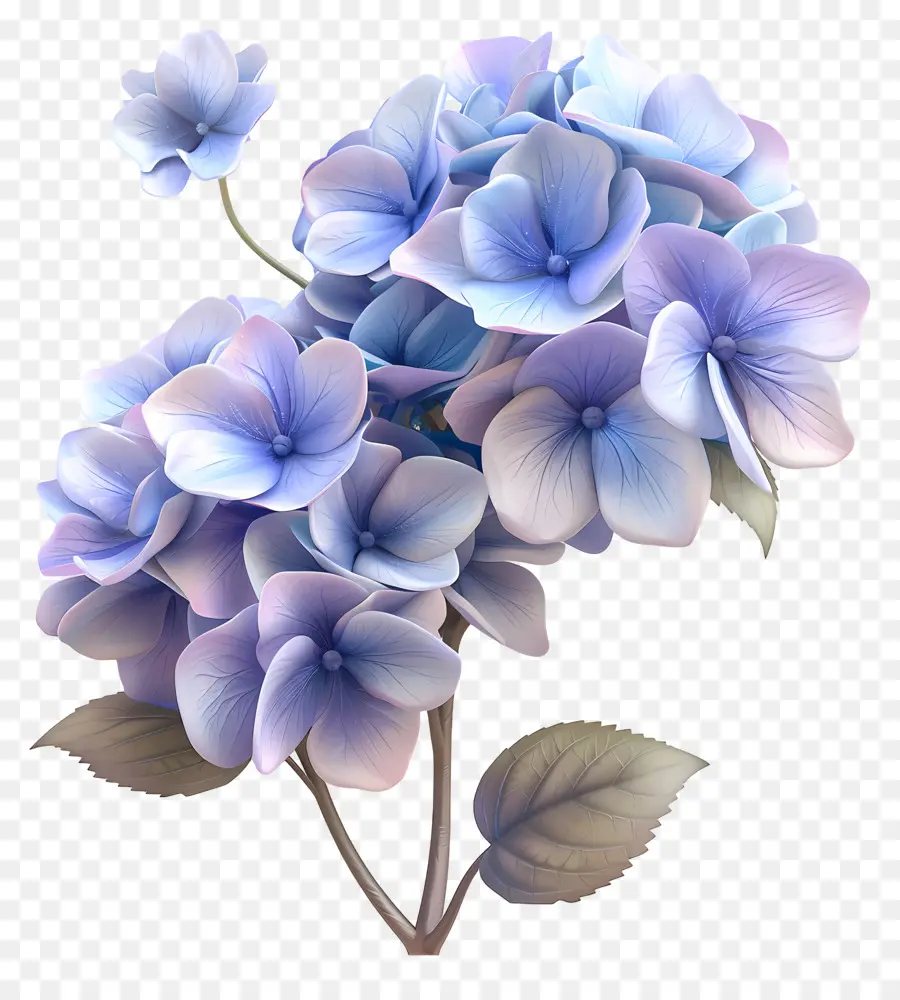 Fleur 3d，Hortensia PNG