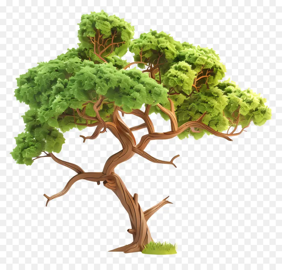 Arbre 3d，Arbre PNG