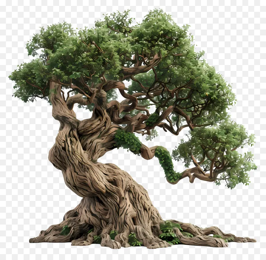 Arbre 3d，Arbre PNG