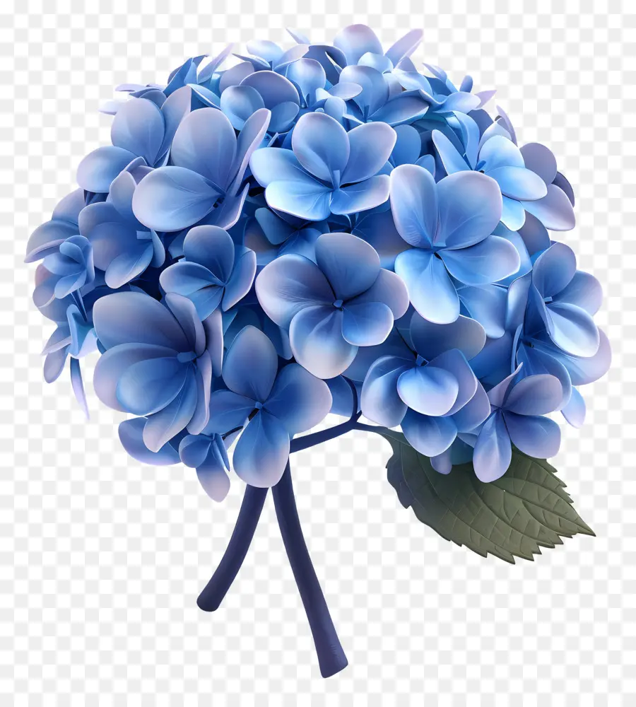 Fleur 3d，Hortensia Bleu PNG