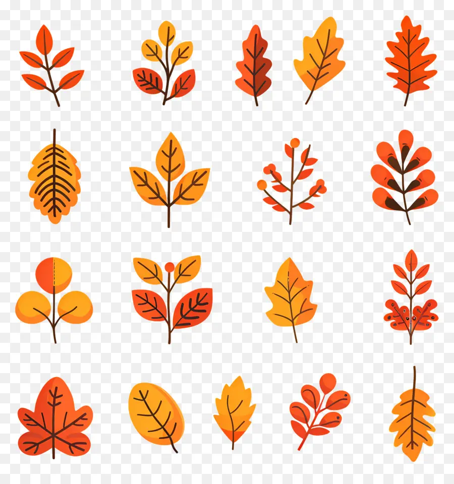 Feuilles D'automne，Branches D'automne PNG