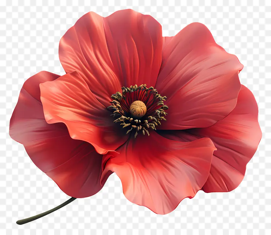 Fleur 3d，Fleur Rose PNG