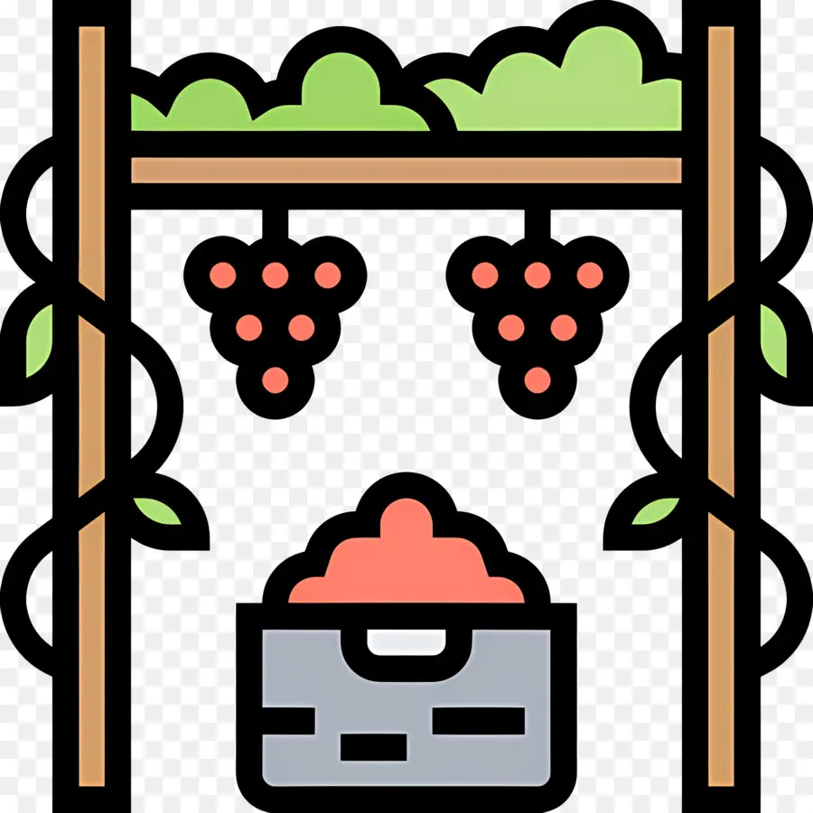 Vendange，Illustration De La Vigne PNG