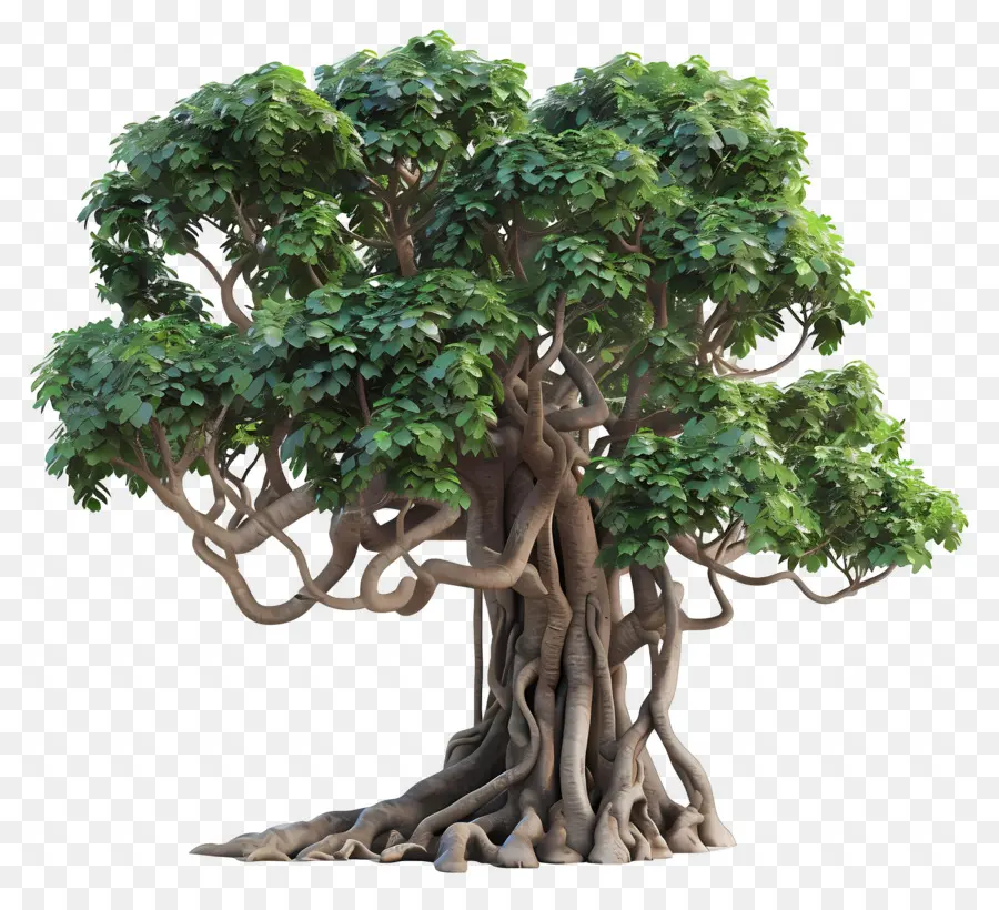 Arbre 3d，Arbre PNG