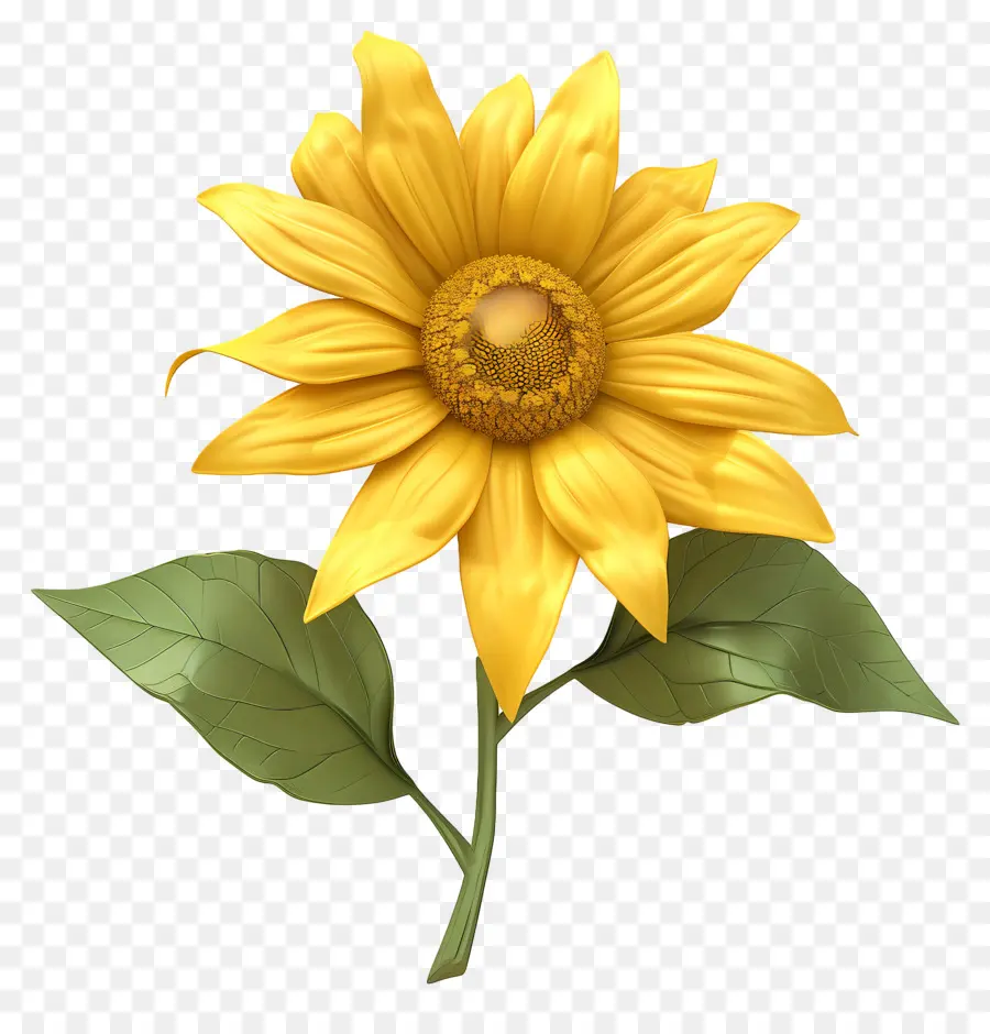 Fleur 3d，Tournesol PNG