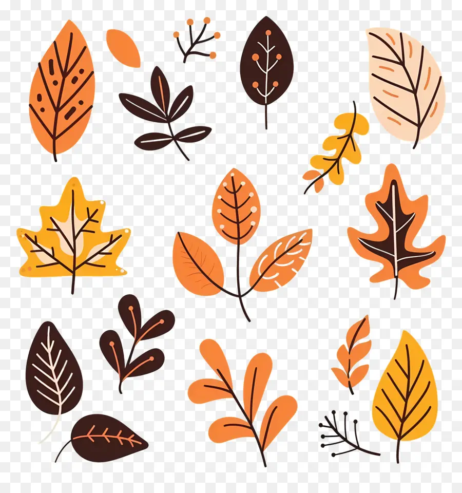 Feuilles D'automne，Branches D'automne PNG