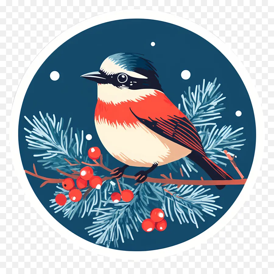 Oiseau De Noël，Oiseau Sur Une Branche De Pin PNG