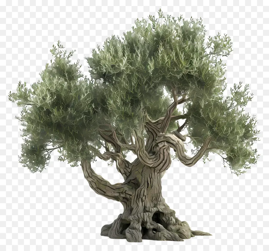 Arbre 3d，Arbre PNG