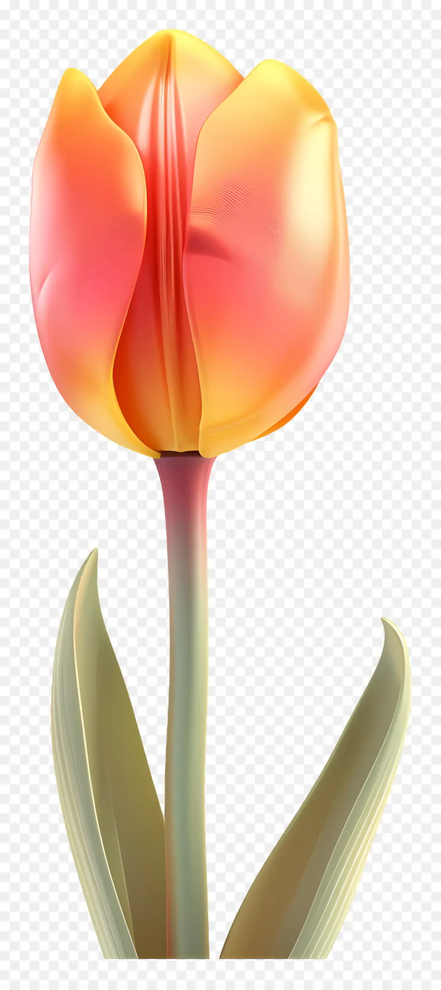 Fleur 3d，Fleur De Tulipe Orange PNG