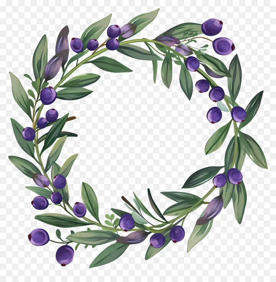 Couronne D'olivier，Feuilles PNG