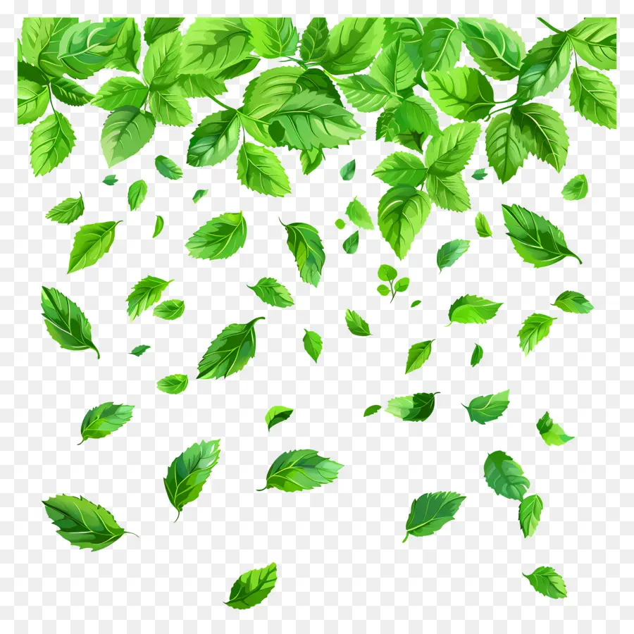 Feuilles Qui Tombent，Feuilles PNG