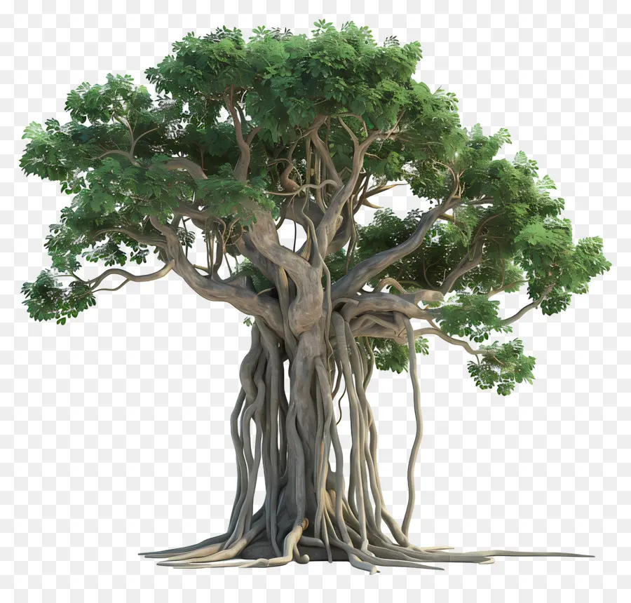 Arbre 3d，Arbre PNG