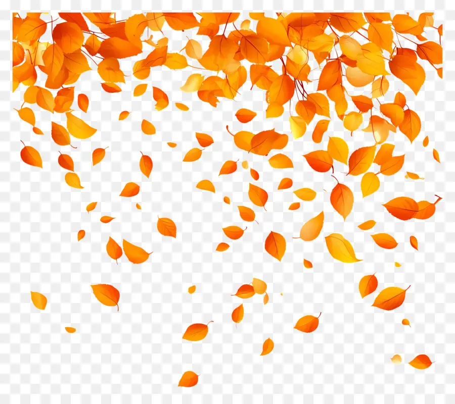 Feuilles Tombées，Feuilles D'automne PNG