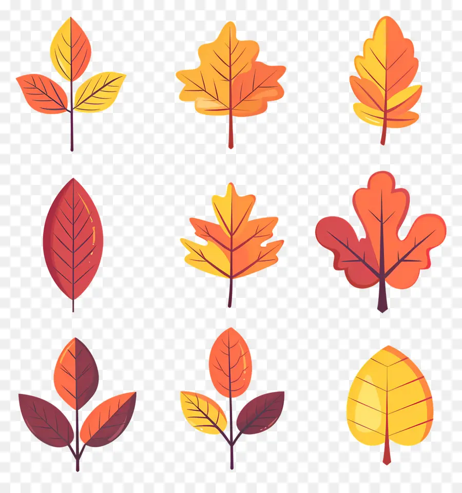 Feuilles D'automne，Branches D'automne PNG