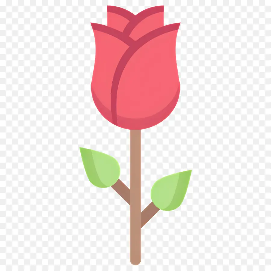 Fleur Rose，Rose Rouge PNG