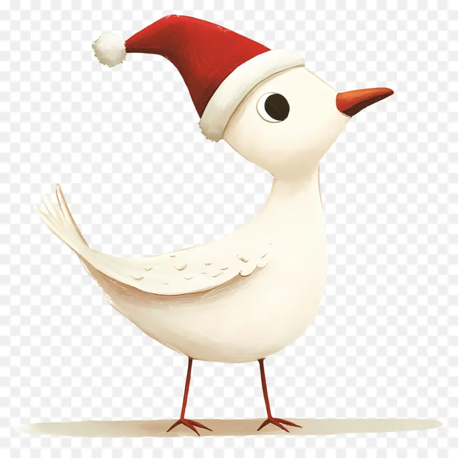 Oiseau De Noël，Oiseau Blanc PNG