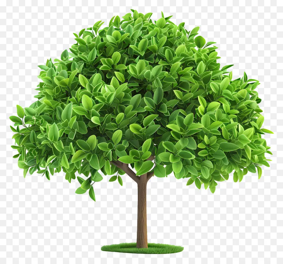 Arbre 3d，Arbre Vert PNG