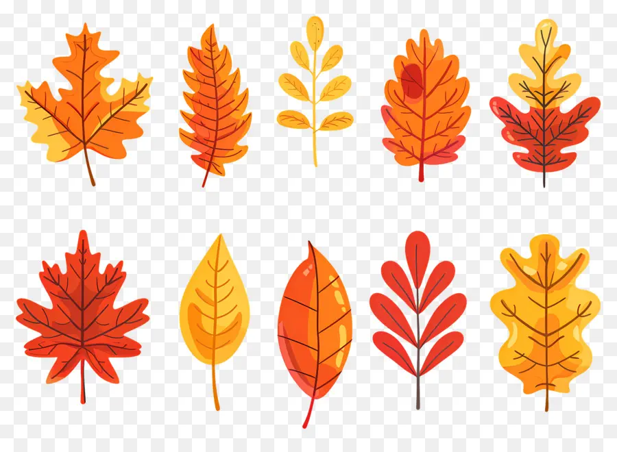 Feuilles D'automne，Automne PNG