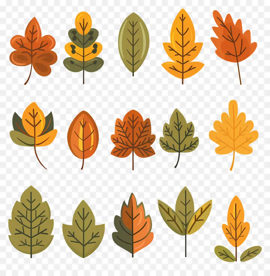 Feuilles D'automne，Automne PNG