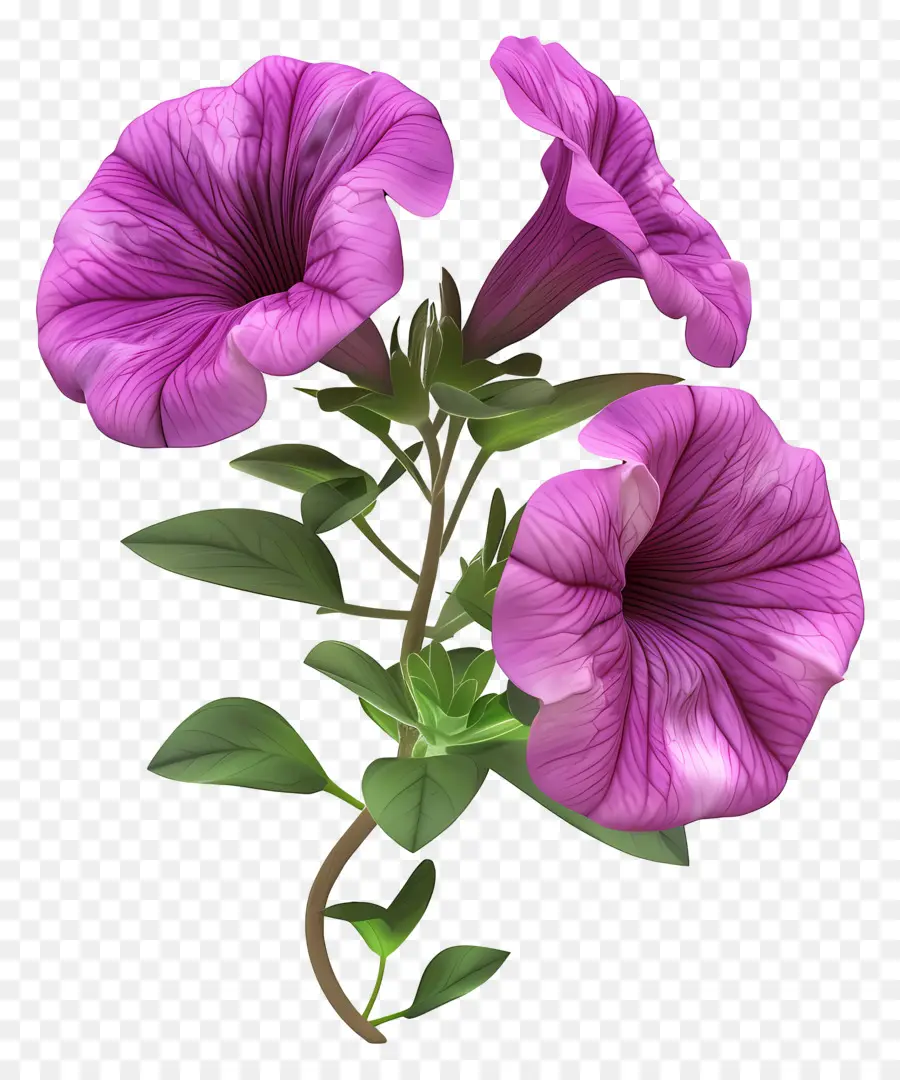 Fleur 3d，Fleurs Roses PNG