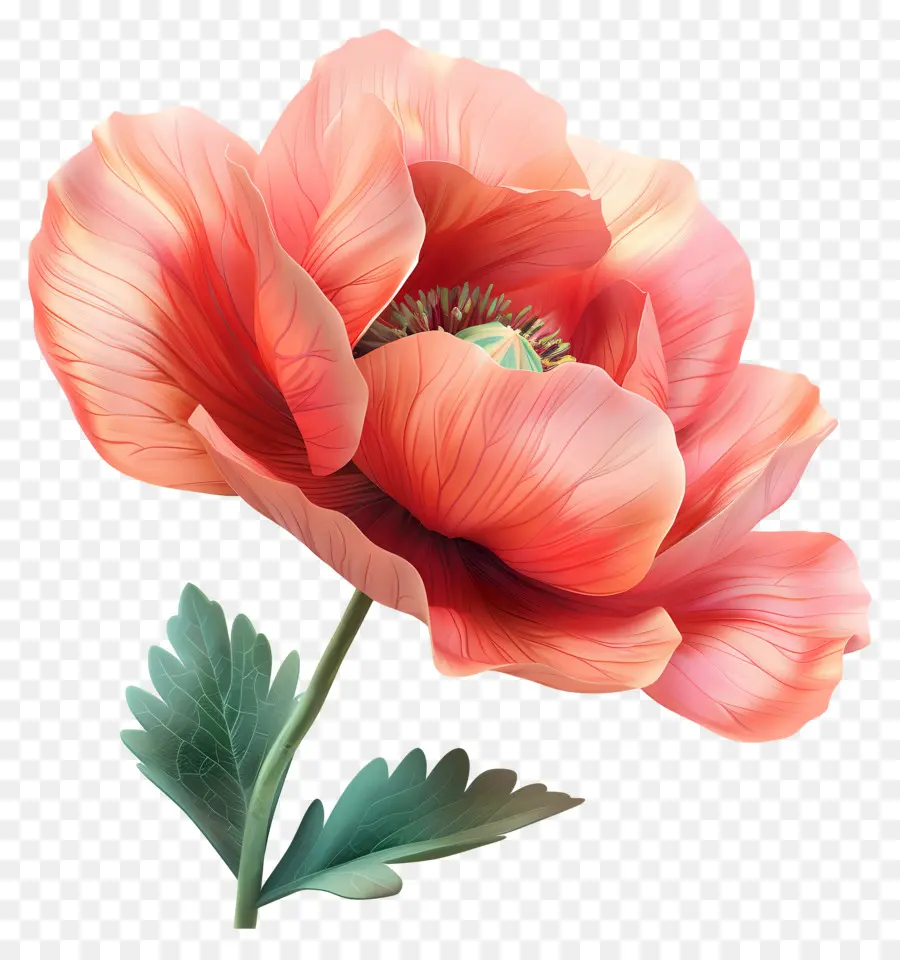 Fleur 3d，Fleur Rose PNG