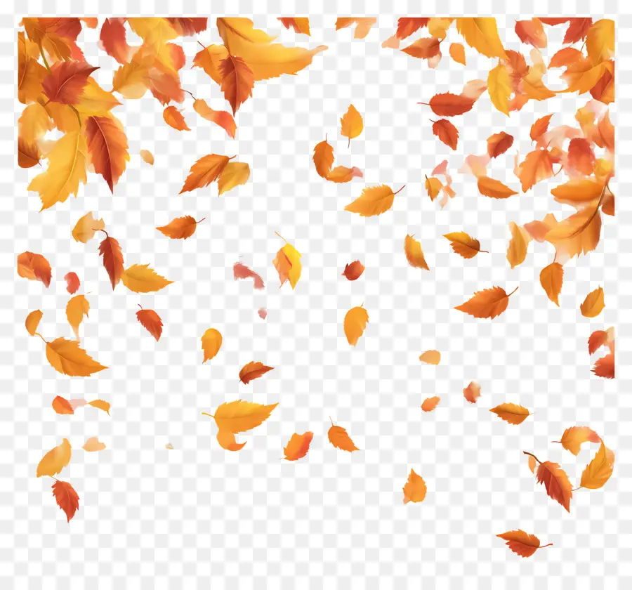 Feuilles Tombées，Feuilles D'automne PNG